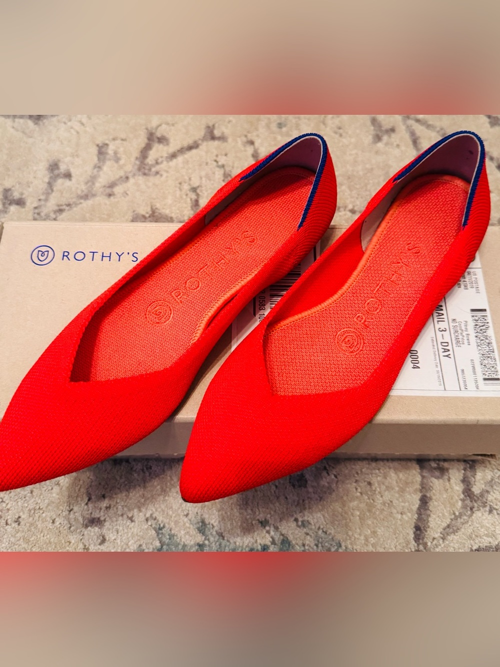 Flame Pointed-Toe Women's Flats NWT Size 6 ♥️